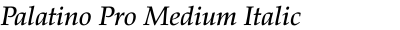 Palatino Pro Medium Italic